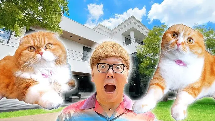 ヒカキンが飼っている猫の種類は？名前や出会いのきっかけも調査