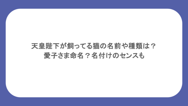 天皇陛下が飼ってる猫の名前や種類は?愛子さま命名?名付けのセンスも