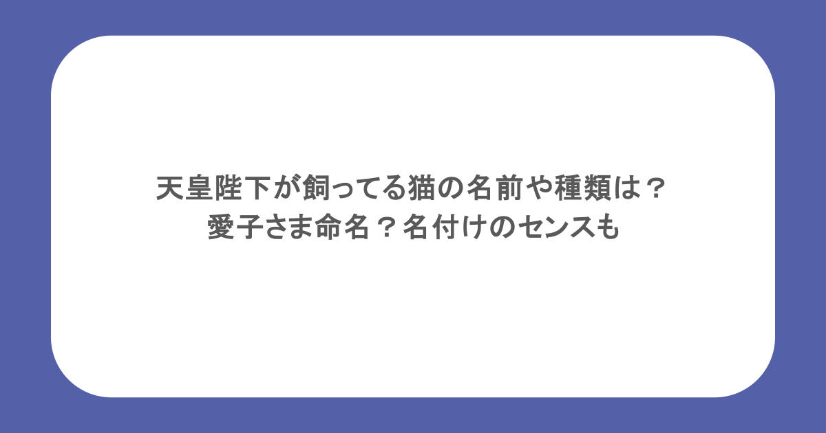 天皇陛下が飼ってる猫の名前や種類は?愛子さま命名?名付けのセンスも